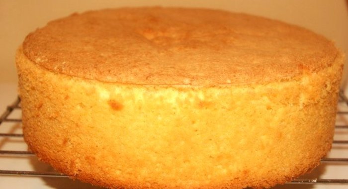 Простой бисквитный корж