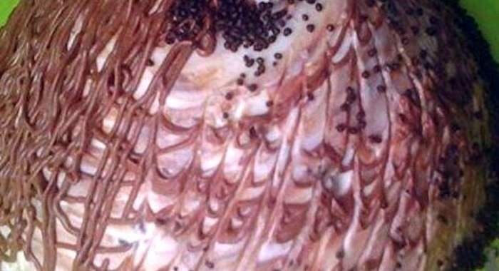 Торт «Санчо» коффейный с шоколадом