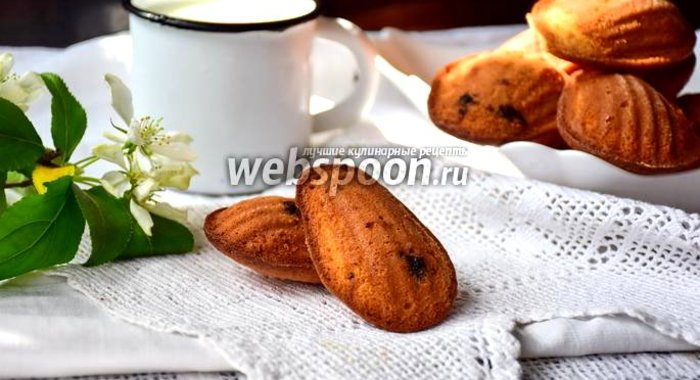 Печенье мадлен с чёрной смородиной