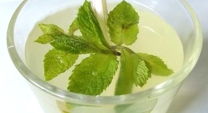 Мятный лимонад