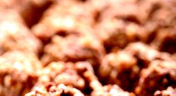 Трюфели с клюквой в крошке из грецкого ореха