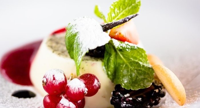 Домашняя панакота