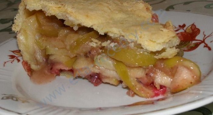 Клюквенный пирог с клюквой и яблоками
