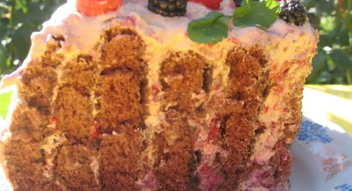 Шоколадный спиральный торт с малиной и ежевикой