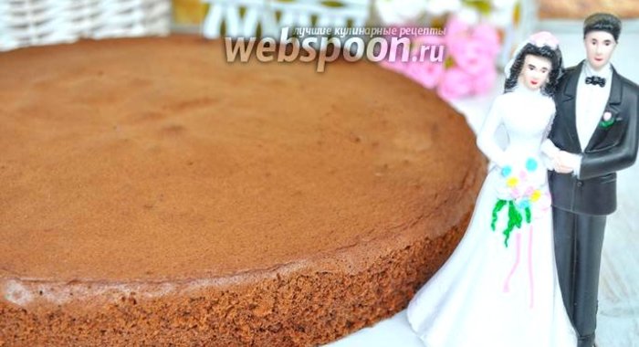 Бисквит для большого торта