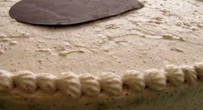 Шоколадный торт с муссом из белого и темного шоколада