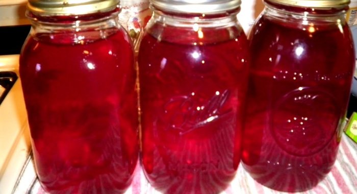 Компот из клюквы