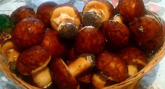 Печенье Лесная сказка